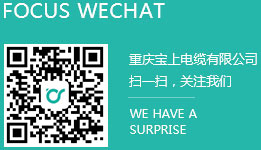 重庆麻豆免费观看入口