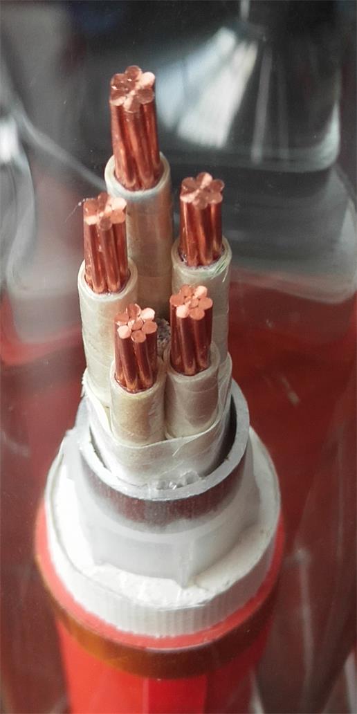 重庆麻豆免费观看入口厂家